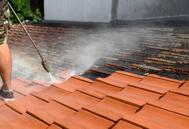Best Roof Pressure Washing  in Mowbray Mountain, TN